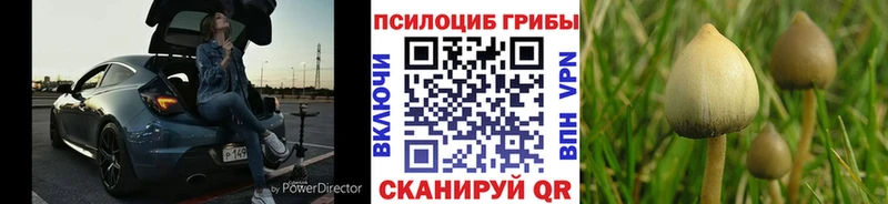 Псилоцибиновые грибы GOLDEN TEACHER  Купить  Ивантеевка 
