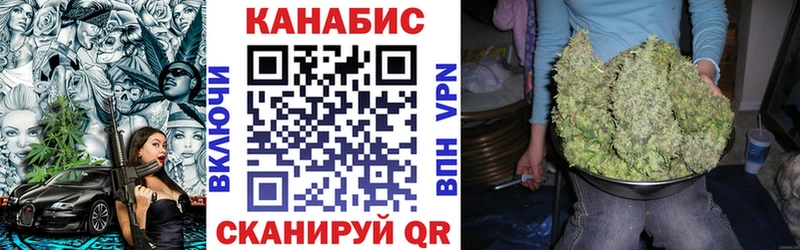 Купить  Ивантеевка  Бошки марихуана Amnesia 